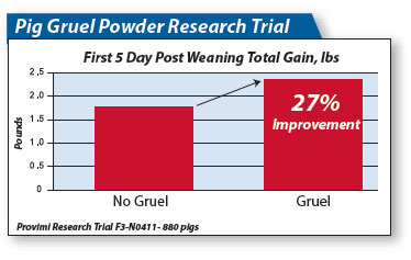 Pig gruel research trial 