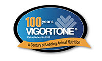 Vigortone anniversary logo